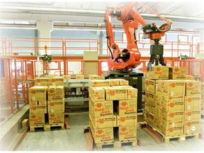 百潤(rùn)機(jī)械 批發(fā)碼垛上下料機(jī)器人效果圖 批發(fā)碼垛上下料機(jī)器人